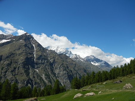 264862