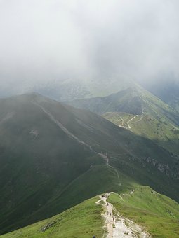 256499