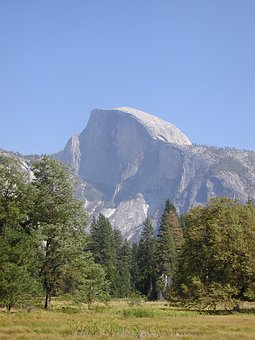 42397