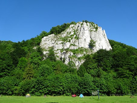 169772