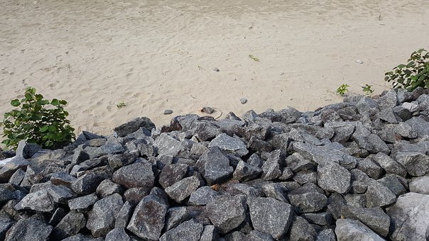 295644