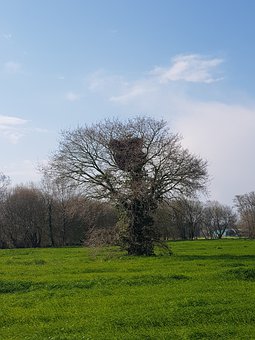 135344