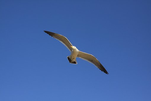 180913