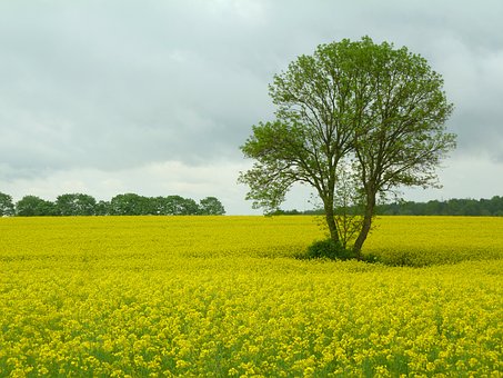 284987