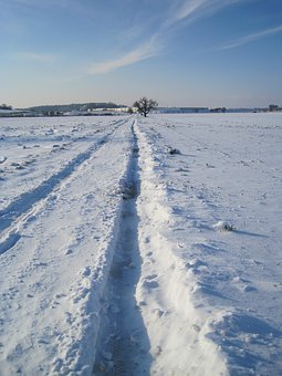 116534