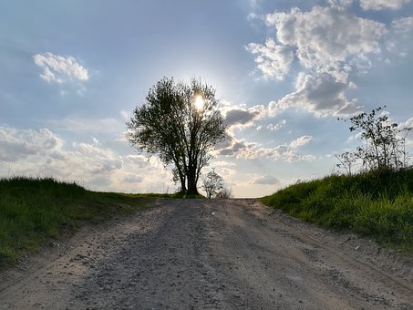 266424