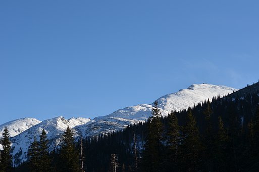 416444