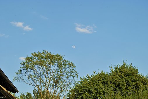 264948