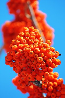 306353