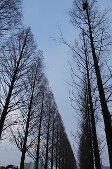 306883