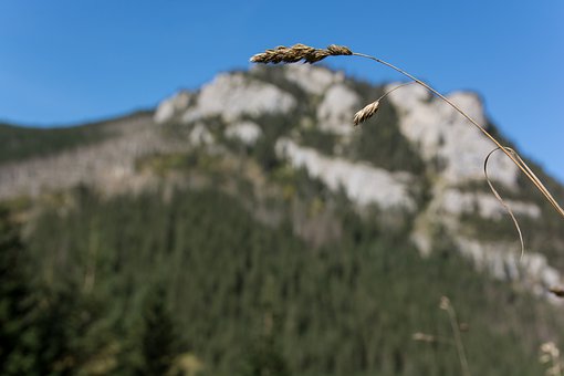 108079